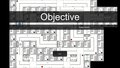 Objective