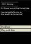 My Sweet Kitten