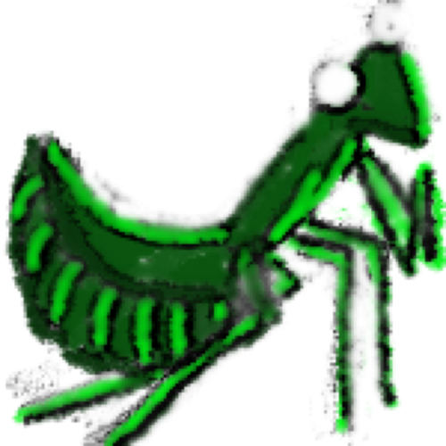 Mantis breaks the Rules