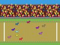 Prance Prance Evolution