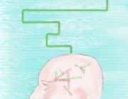 Self-Growth