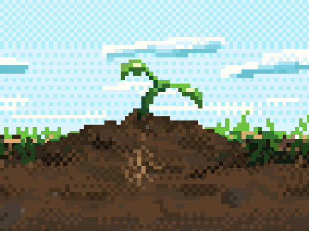 From Sprout to Splendor