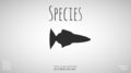Species