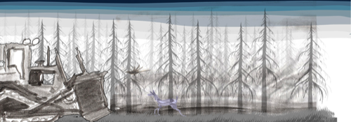 Escape From Animal Forest