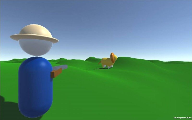 Safari