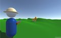 Safari