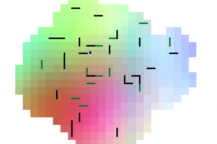 Minima