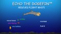 ECHO THE DOGEFIN RESCUES FLIGHT MH371