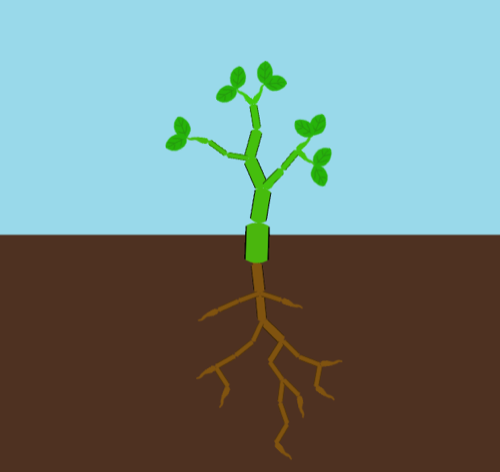 GROW
