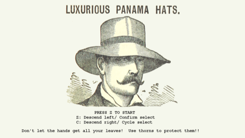Luxurious Panama Hats