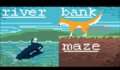 River bank maze