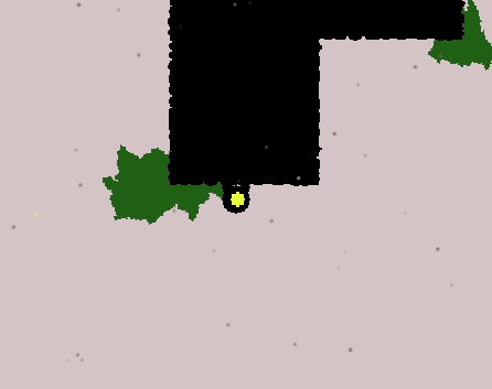 Onanigan