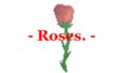 Roses.