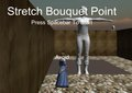 Stretch Bouquet Point