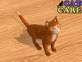 Cat Care
