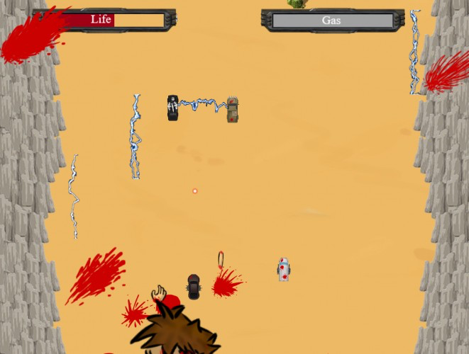 Wolves of the desert
