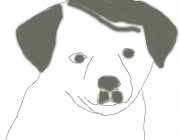 Bad Puppy