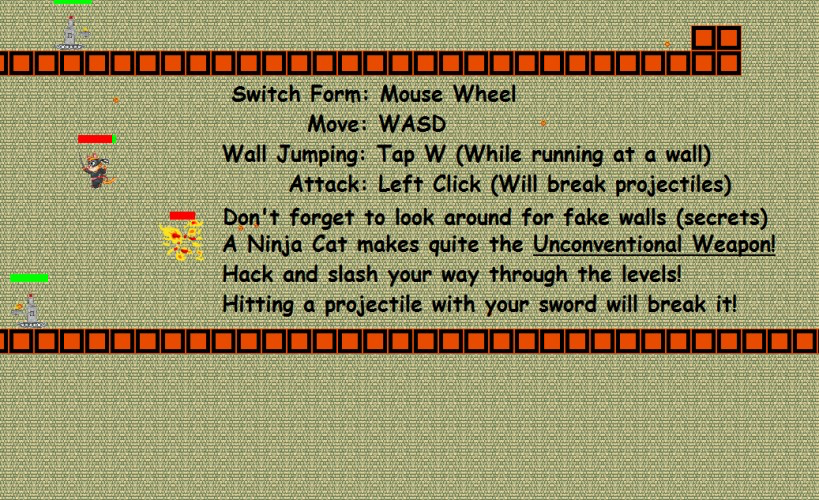 The Unconventional Ninja Cat