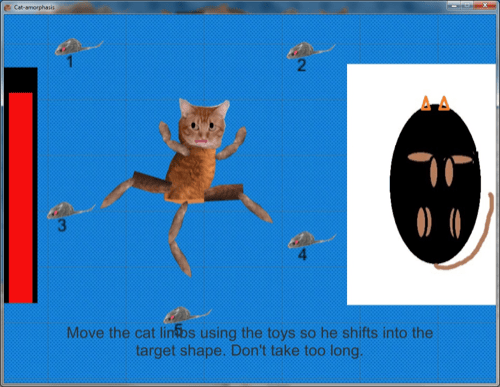 Cat-amorphasis