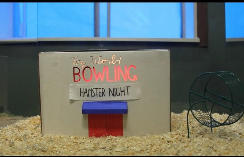 Hamster Bowling