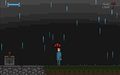 A Rose in the Rain