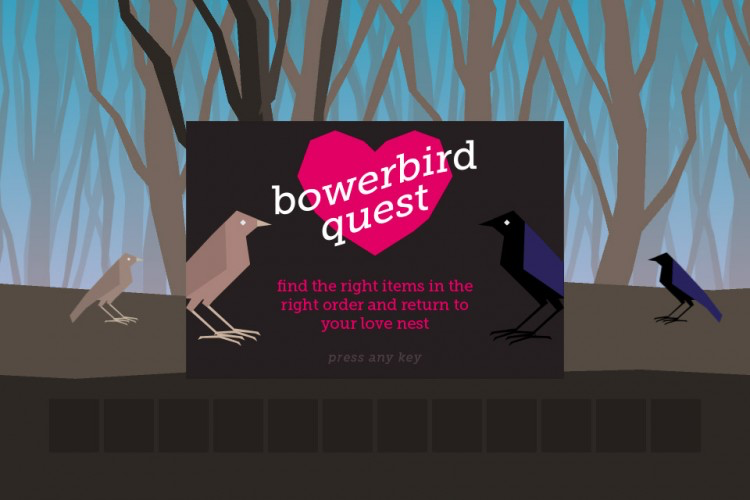 Bowerbird Quest