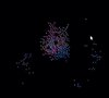 #1 Bacterial Color Evolution - Bioterrorism against your browser!