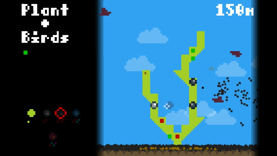 Plant + Birds