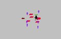 Crossbow Assassin