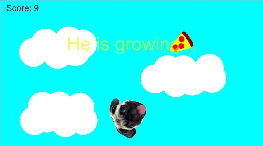 Spock The Pug