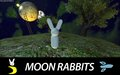 Moon Rabbits