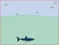 Shark Farts