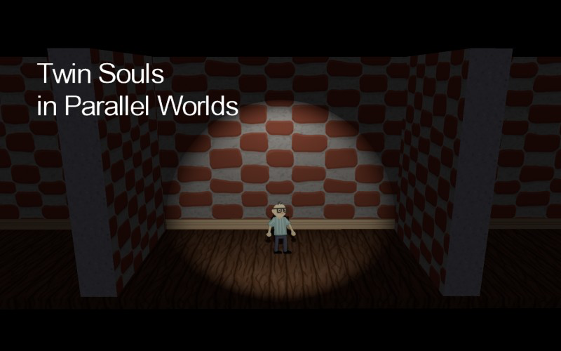 Twin Souls in Parallel Worlds