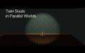 Twin Souls in Parallel Worlds