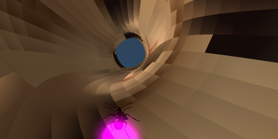 Ant Vision