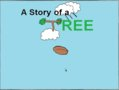 A Story of a Tree