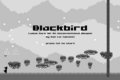 Blackbird