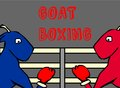 Goat Boxing