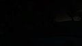 Firefly Effect
