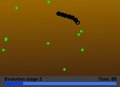 Small Worm