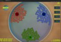 Microbe Madness!