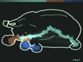 A Mold's Life