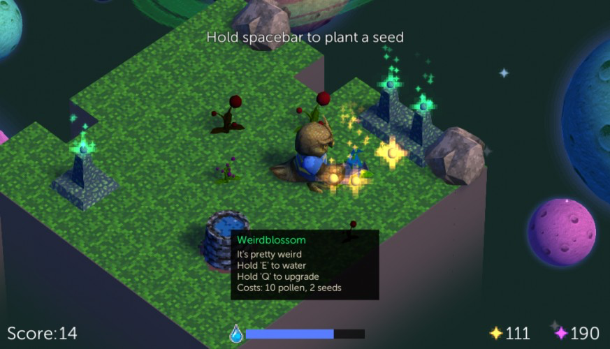Owl Boy's Stellar Garden