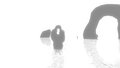 Moiety