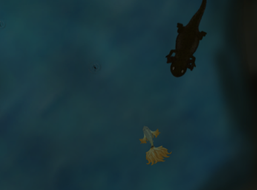 Guppies