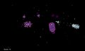 Space Navels