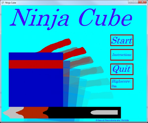 Ninja Cube