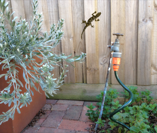 Suburban Garden