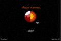 Moon Harvest