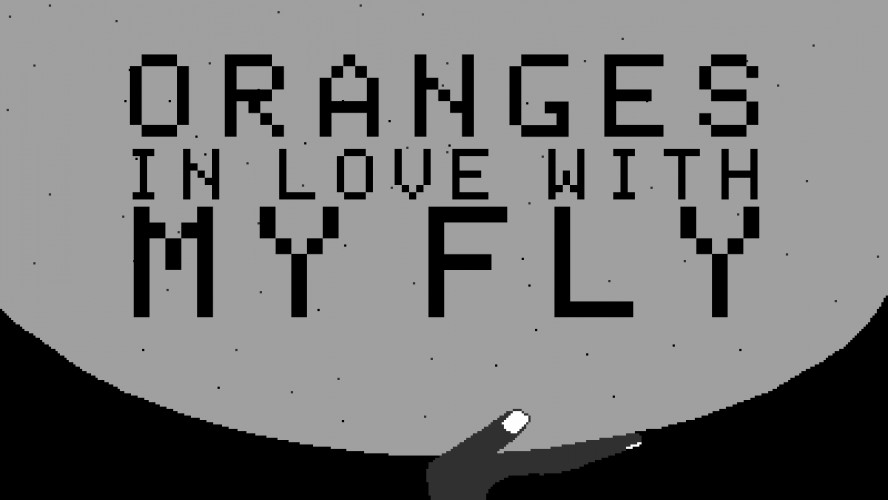 Oranges In Love With My Fly